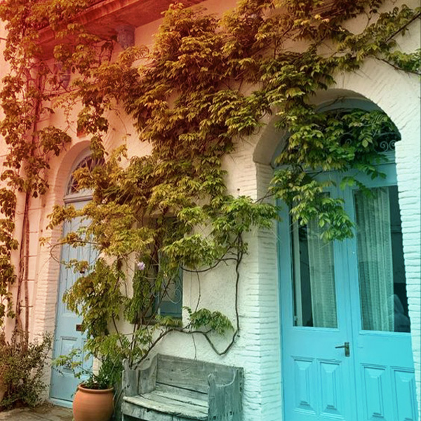 سخن حضرت علی با ما