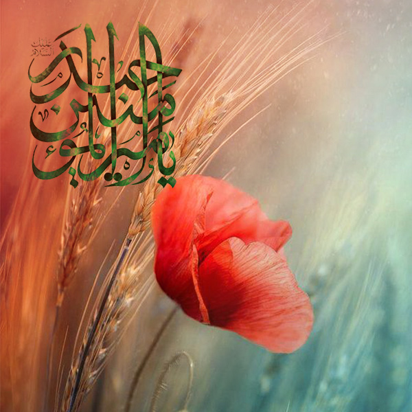 قضاوت درباره ی مادر نوزادان پسر