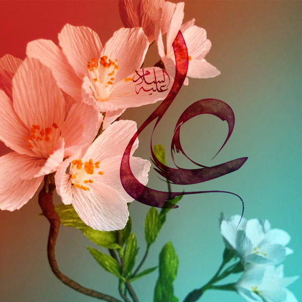 عدالت در قضاوت