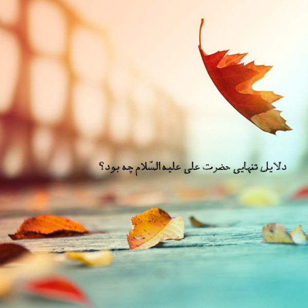 دلایل تنهایی حضرت علی علیه السّلام چه بود؟