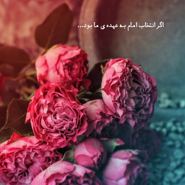 اگر انتخاب امام به عهده ما بود