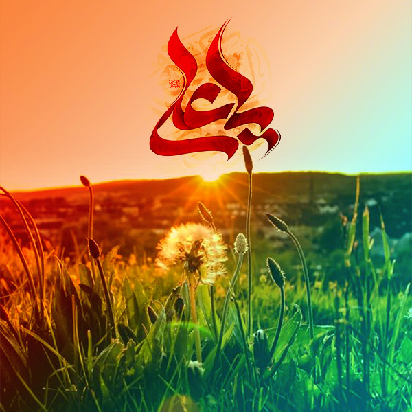 نامه ای به فرزند