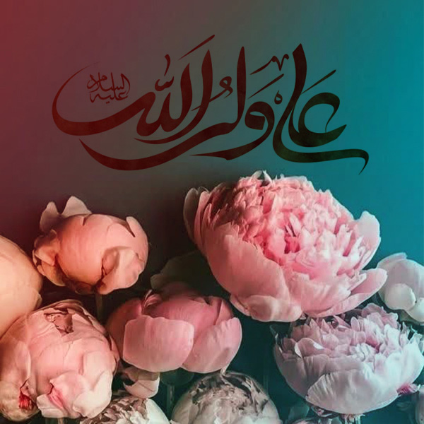 انتخاب علی به عنوان خلیفه