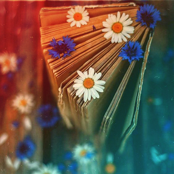 جاذبه های کلام علی علیه السلام