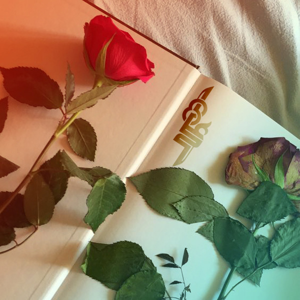 علم بهتر است یا ثروت؟