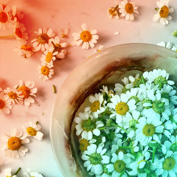 هشدارهای حضرت علی