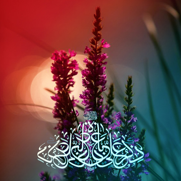 چه کسی برتر است؟